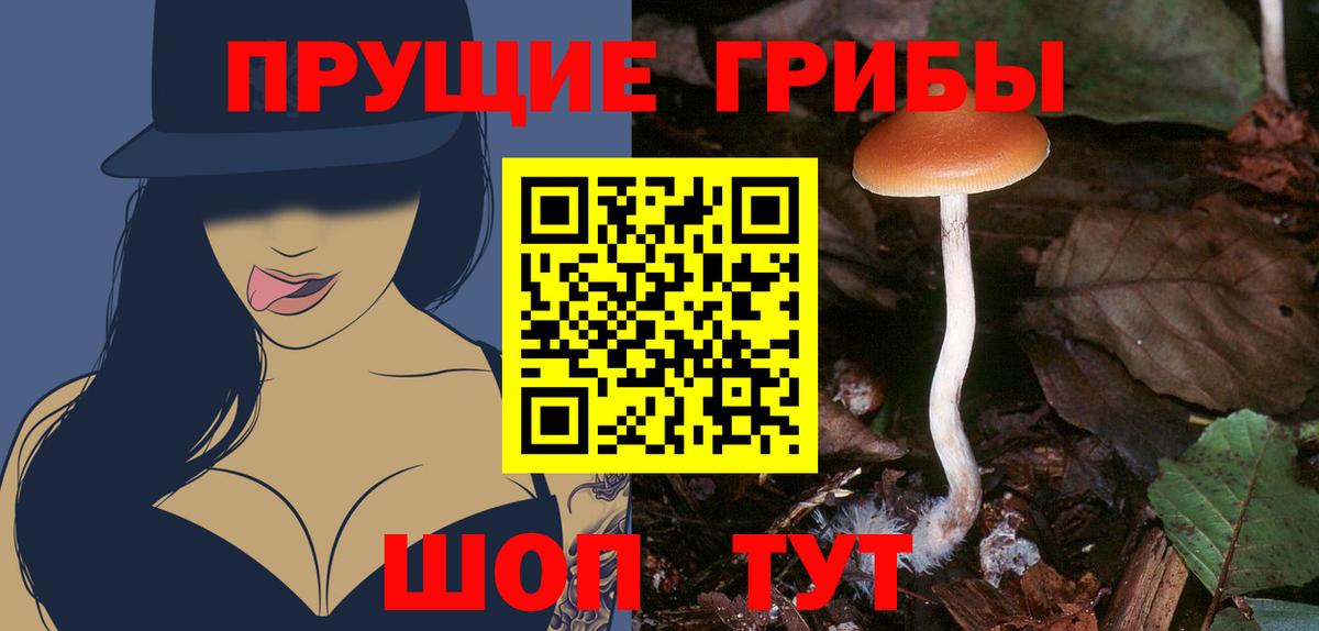 Галлюциногенные грибы Magic Shrooms Симферополь