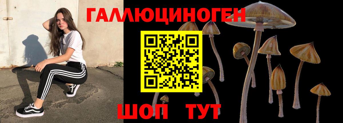 Галлюциногенные грибы Cubensis  где купить наркоту  Симферополь  Галлюциногенные грибы Psilocybine cubensis  Вход с VPN 